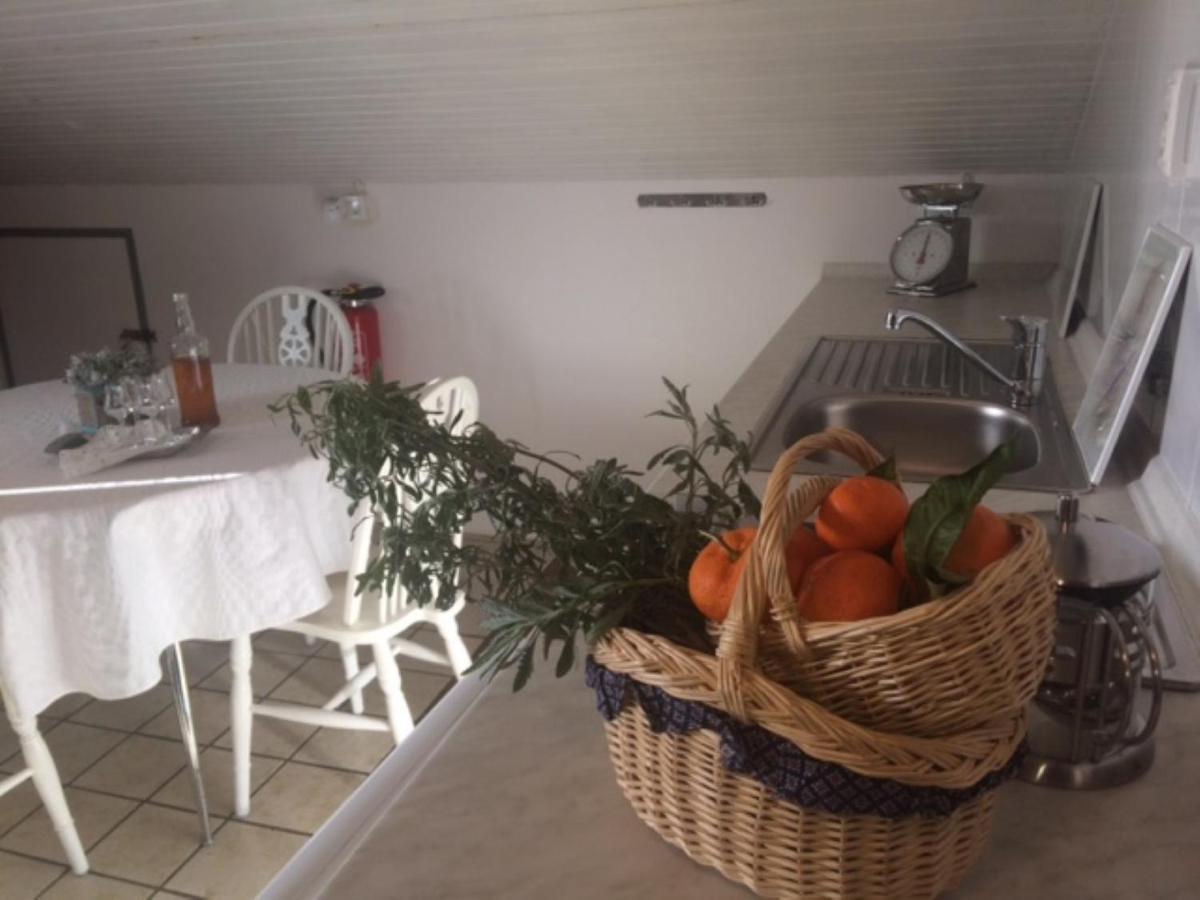טרוגיר Apartment מראה חיצוני תמונה